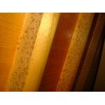 Schimmel in instrument.