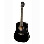 Richwood RD-12-BK Artist Series akoestische gitaar