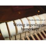 Hamerkoppen peervormig