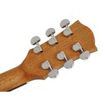 Richwood B-20 Master Series handgemaakte baritone gitaar