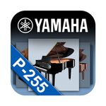 Yamaha PA-300C adapter