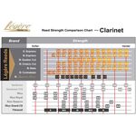 Legere alt-saxofoon riet kunststof 3