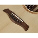 Richwood SWG-110-CE Master Series handgemaakte gitaar 'Songwriter M'