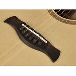 Richwood SWG-130-CE Master Series handgemaakte gitaar 'Songwriter O'