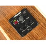 Richwood SWG-130-CE Master Series handgemaakte gitaar 'Songwriter O'