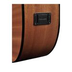 Richwood G-40-CE Master Series handgemaakte grand auditorium gitaar