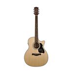 Richwood G-40-CE Master Series handgemaakte grand auditorium gitaar