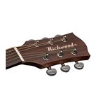 Richwood G-40-CE Master Series handgemaakte grand auditorium gitaar