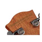 Richwood G-40-CE Master Series handgemaakte grand auditorium gitaar