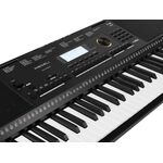 M361 |Medeli Millenium Series keyboard