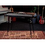 AW830 |Medeli Aspire Series keyboard