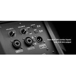 VFR-110 |Valeton FRFR active cabinet class D 1300W 10'' + 1''