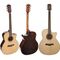 Richwood SWG-150-CE Master Series handgemaakte gitaar 'Songwriter R'