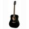 Richwood RD-12-BK Artist Series akoestische gitaar