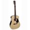 Grimshaw GSD-60-NT akoestische gitaar