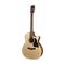 Richwood G-40-CE Master Series handgemaakte grand auditorium gitaar