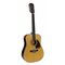 Richwood 12-snarige akoestische gitaar RD-17-12